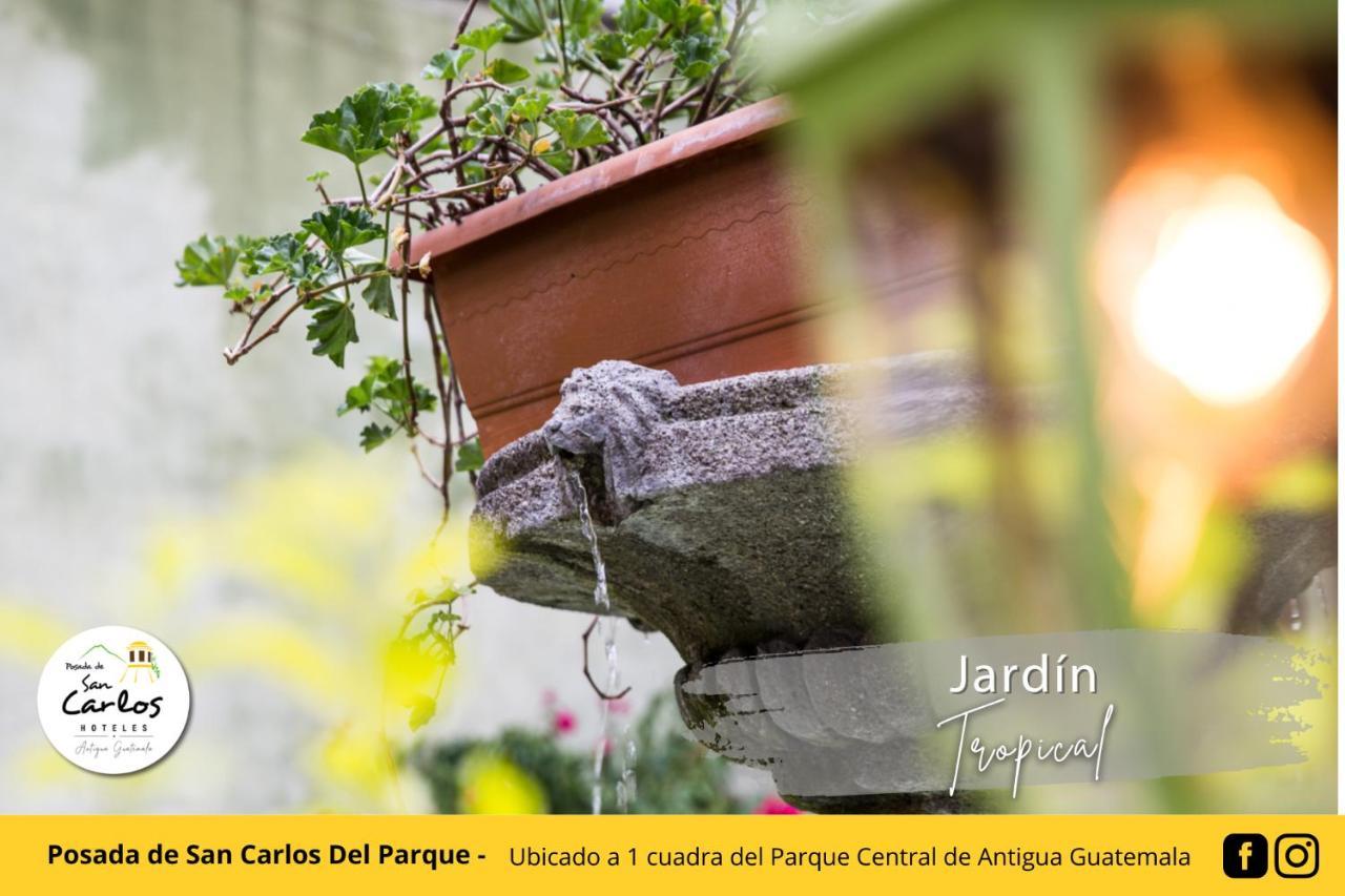 Posada De San Carlos Del Parque 안티구아 과테말라 외부 사진